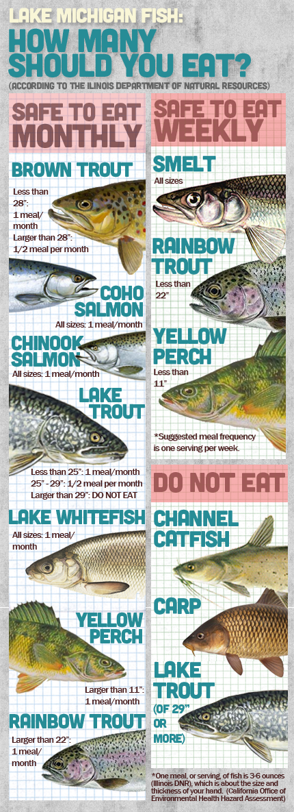 Fish and Risks: Eating Lake Michigan Catch | WBEZ Chicago